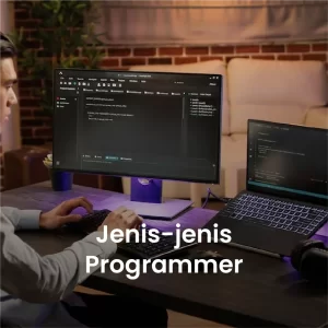 Jenis-jenis programmer