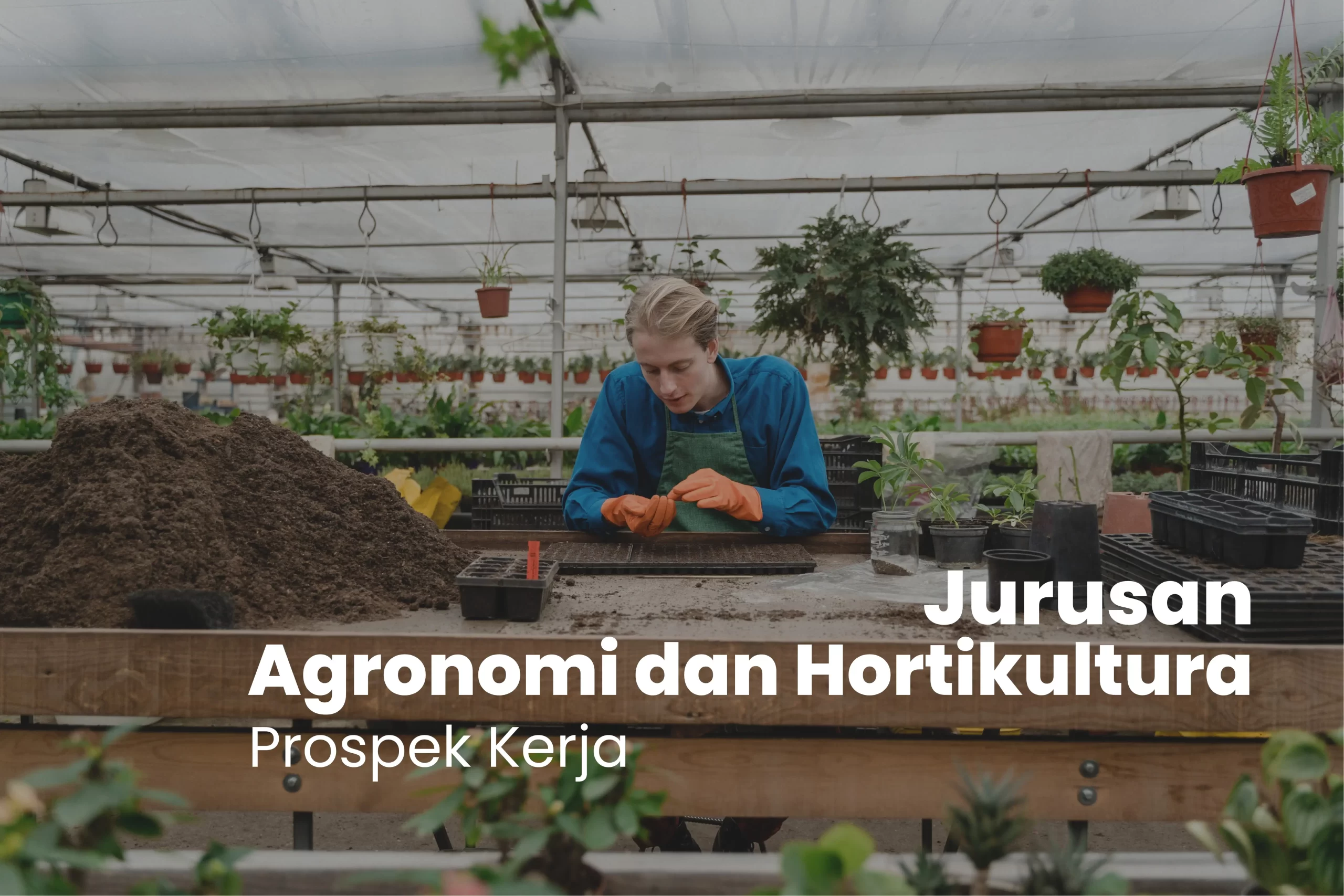 Prospek Kerja Jurusan Agronomi dan Hortikultura